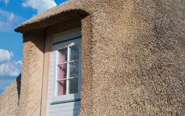 Lifton thatch roof disadvantages